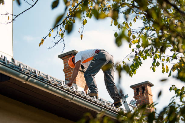 Best Storm Damage Roof Repair  in Harrisville, UT